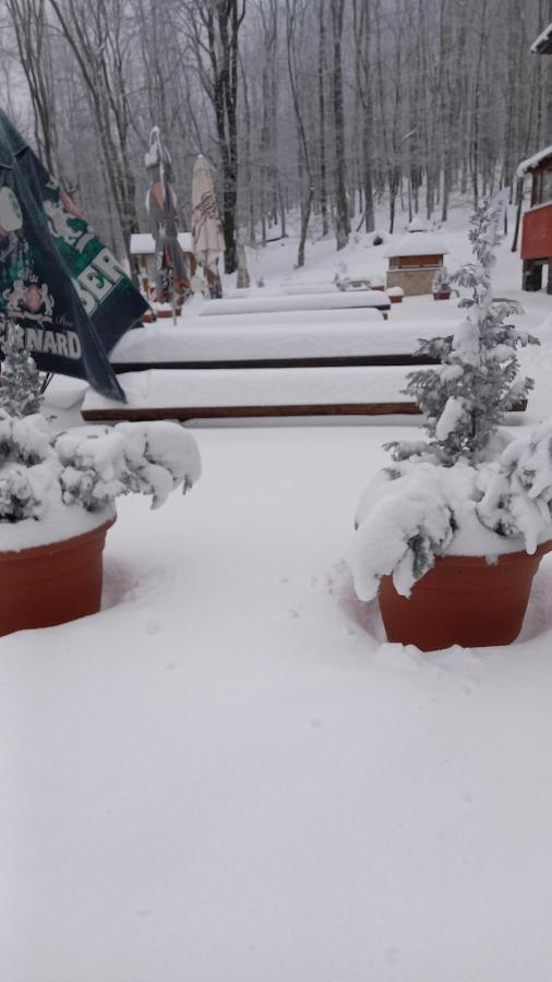 Chata Korenný vrch Pezinská Baba Pezinok Exteriér fotografie
