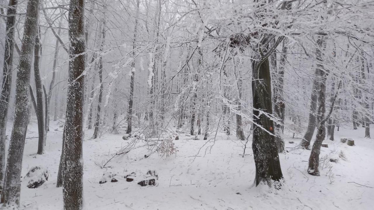 Chata Korenný vrch Pezinská Baba Pezinok Exteriér fotografie