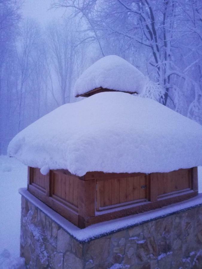 Chata Korenný vrch Pezinská Baba Pezinok Exteriér fotografie