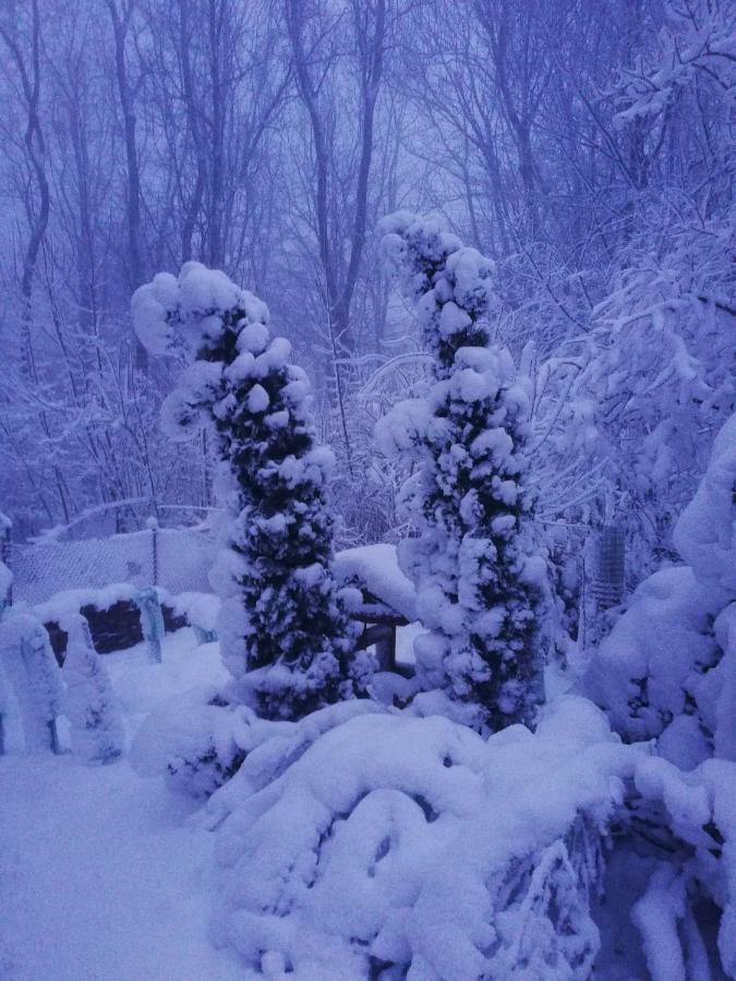Chata Korenný vrch Pezinská Baba Pezinok Exteriér fotografie